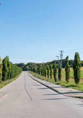 Stará Turá vo fotografiách