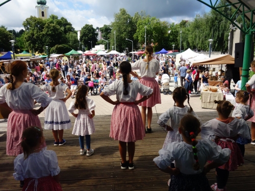 202504220833130.dom-kultury-javorina6