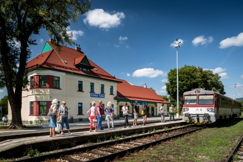 zel