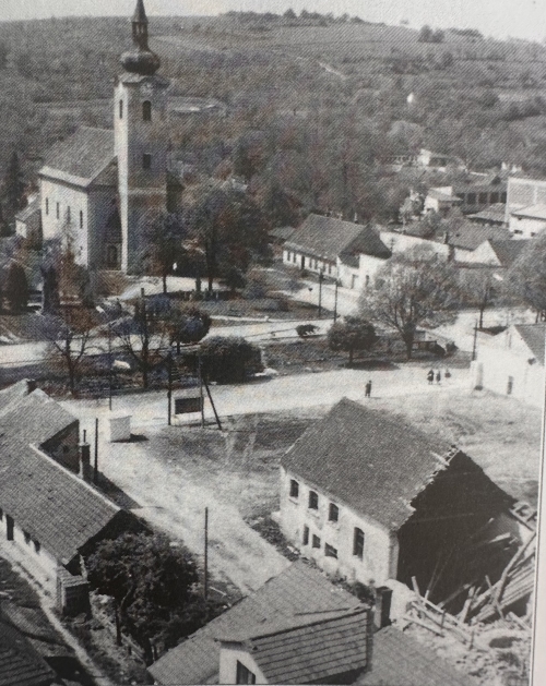 Židovská synagóga