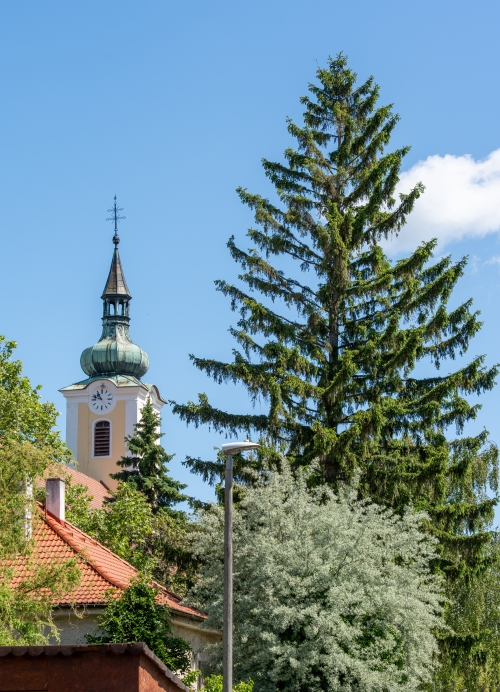 Rímsko katolícky kostol