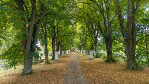 Kalvária a kaplnka sv. kríža