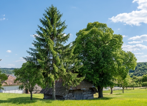 Náučný chodník Drgoňova - Durcovie dolina