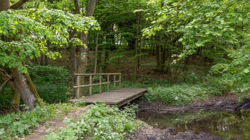 Náučný chodník Drgoňova - Durcovie dolina