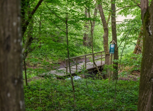 Náučný chodník Drgoňova - Durcovie dolina