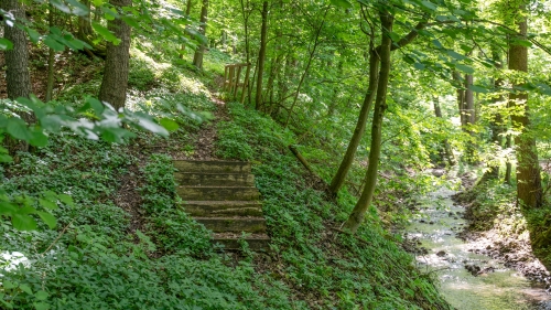 Náučný chodník Drgoňova - Durcovie dolina