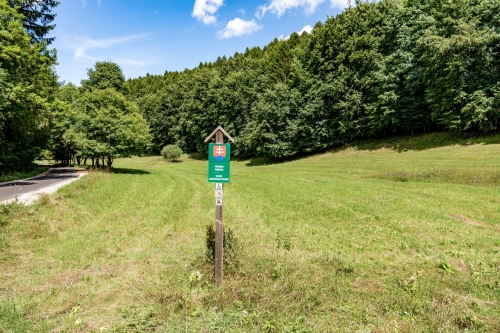 Prírodná pamiatka Borotová