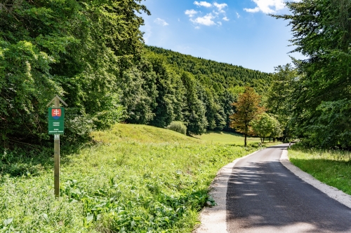 Prírodná pamiatka Borotová