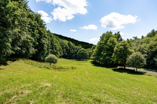 Prírodná pamiatka Borotová