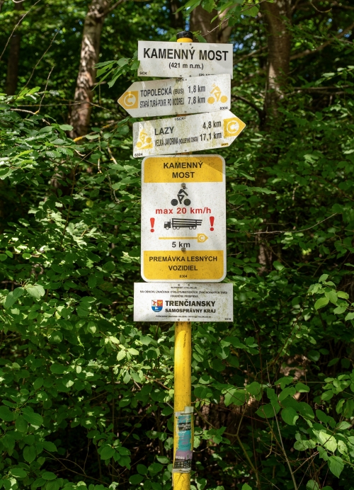 Prírodná pamiatka Borotová