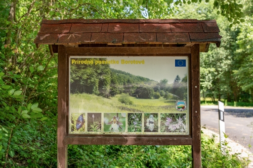 Prírodná pamiatka Borotová