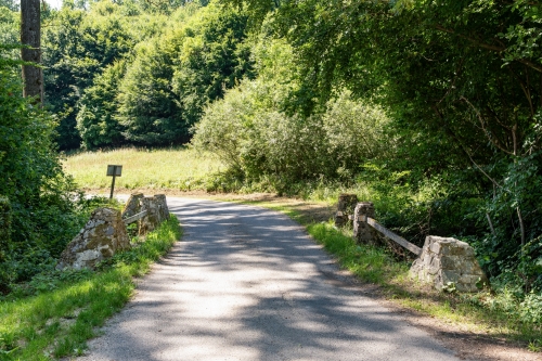 Prírodná pamiatka Borotová