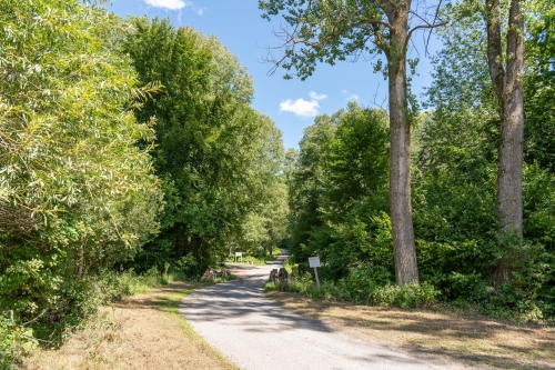 Prírodná pamiatka Borotová