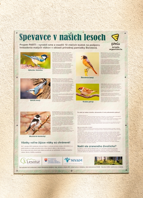 Prírodná pamiatka Borotová