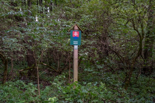 Prírodná pamiatka Šašnatá