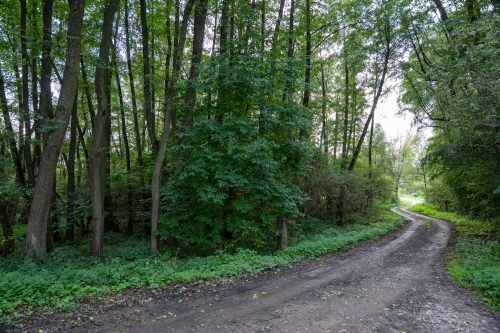 Prírodná pamiatka Šašnatá