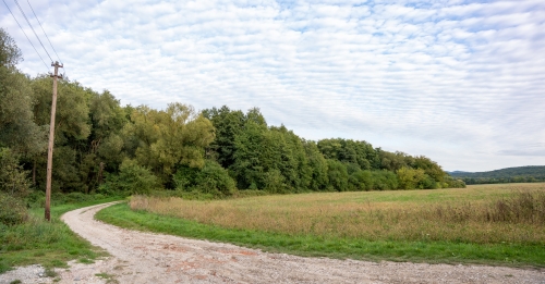 Prírodná pamiatka Šašnatá