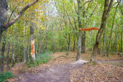 Trail Oliver, Malá štúrovka