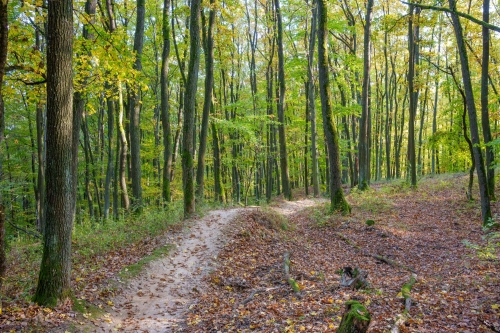 Trail Oliver, Malá štúrovka