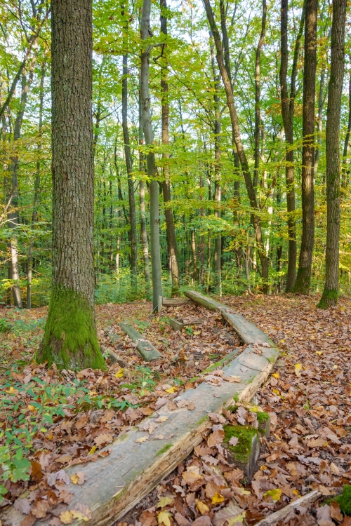 Trail Oliver, Malá štúrovka