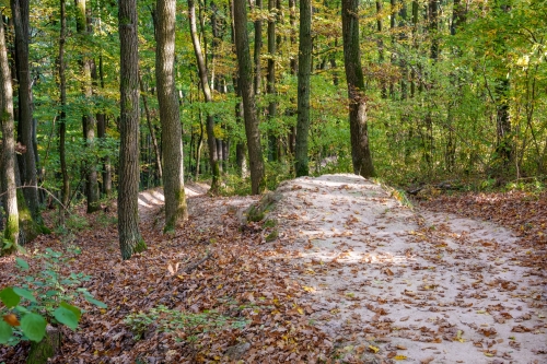 Trail Oliver, Malá štúrovka