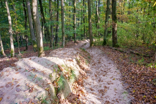 Trail Oliver, Malá štúrovka