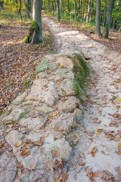 Trail Oliver, Malá štúrovka