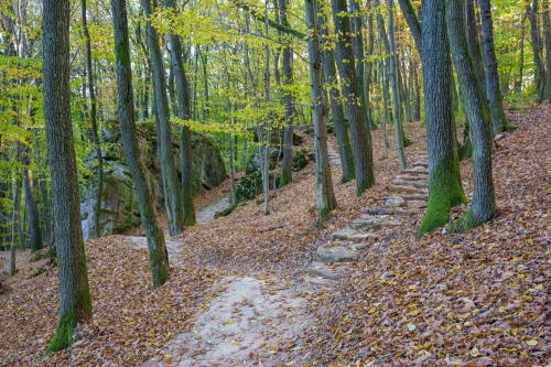Trail Oliver, Malá štúrovka