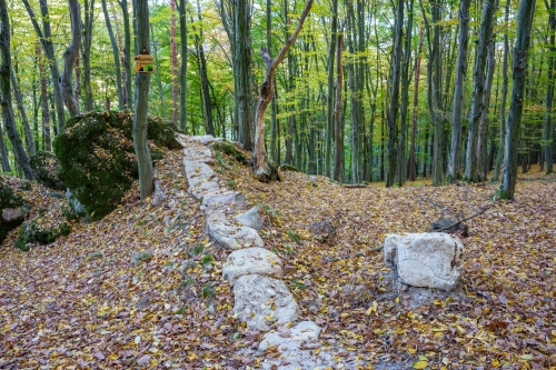 Trail Oliver, Malá štúrovka