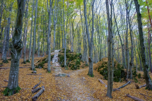 Trail Oliver, Malá štúrovka