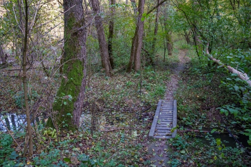 Trail Oliver, Malá štúrovka
