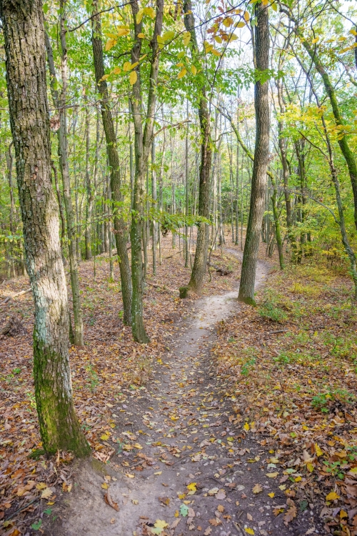 Trail Oliver, Malá štúrovka