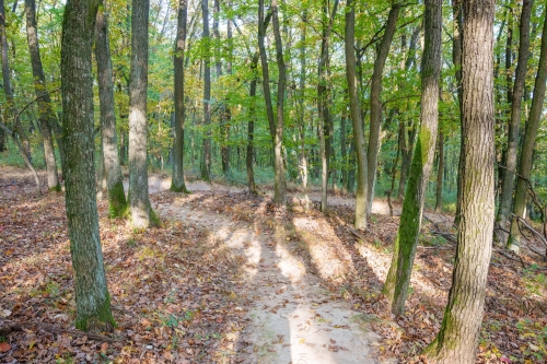 Trail Oliver, Malá štúrovka