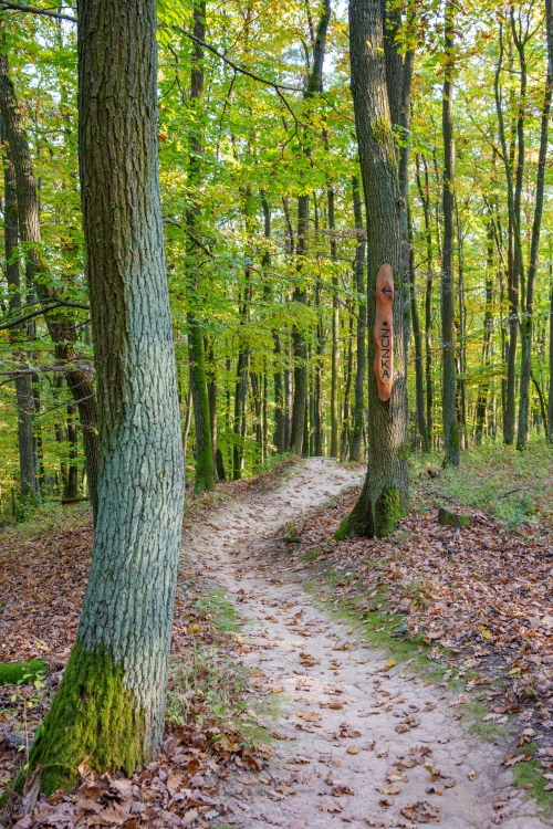 Trail Oliver, Malá štúrovka