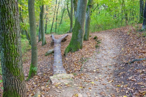 Trail Oliver, Malá štúrovka