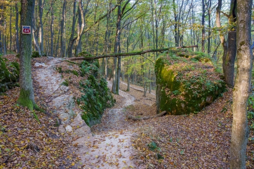 Trail Oliver, Malá štúrovka