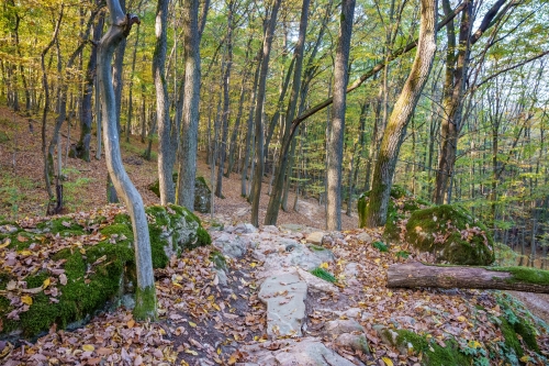 Trail Oliver, Malá štúrovka