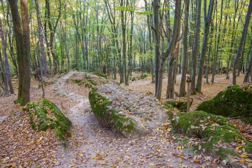 Trail Oliver, Malá štúrovka