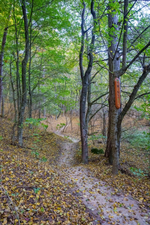 Trail Oliver, Malá štúrovka