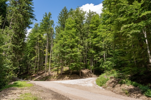 Partizánsky bunker vo Vetešovom jarku