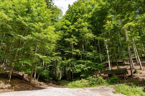 Partizánsky bunker vo Vetešovom jarku