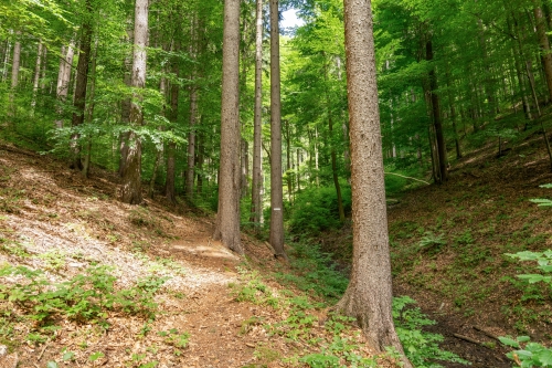 Partizánsky bunker vo Vetešovom jarku