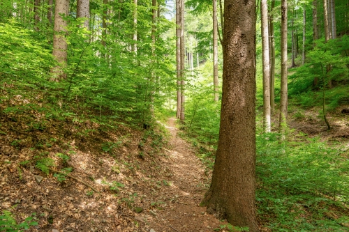 Partizánsky bunker vo Vetešovom jarku