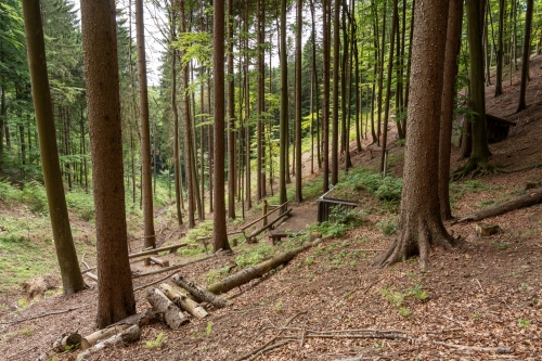 Partizánsky bunker vo Vetešovom jarku