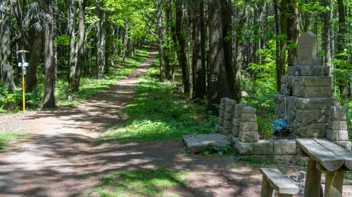 Pamätník I. D. Dibrova pod Veľkou Javorinou