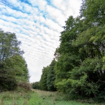 Prírodná pamiatka Šášnatá