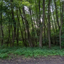 Chránený areál Pavúkov jarok 