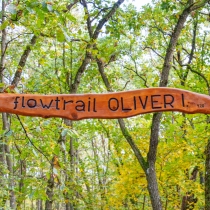 Cyklotraily a pumptrack na Dubníku I.